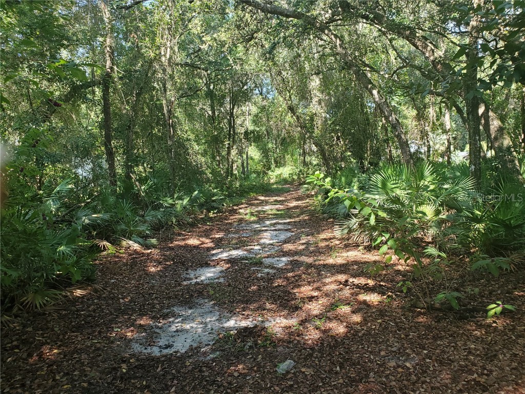 Pruitt Street Leesburg FL 34748 O6059355 image1