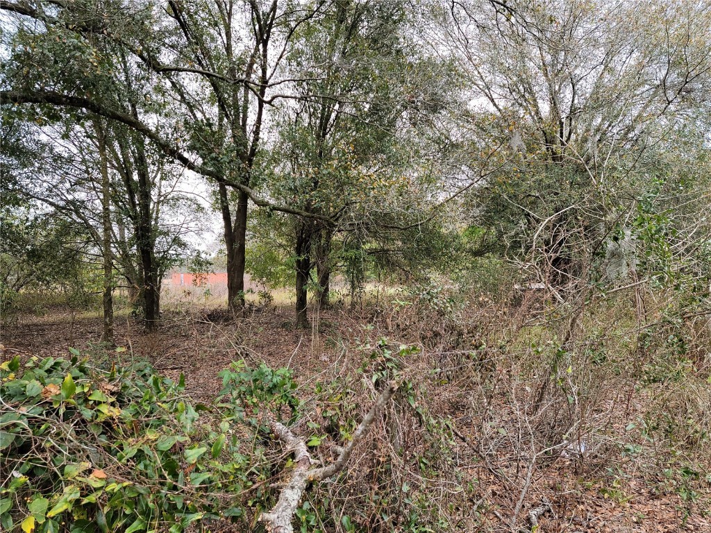 Pump Road Mulberry FL 33860 T3354186 image1