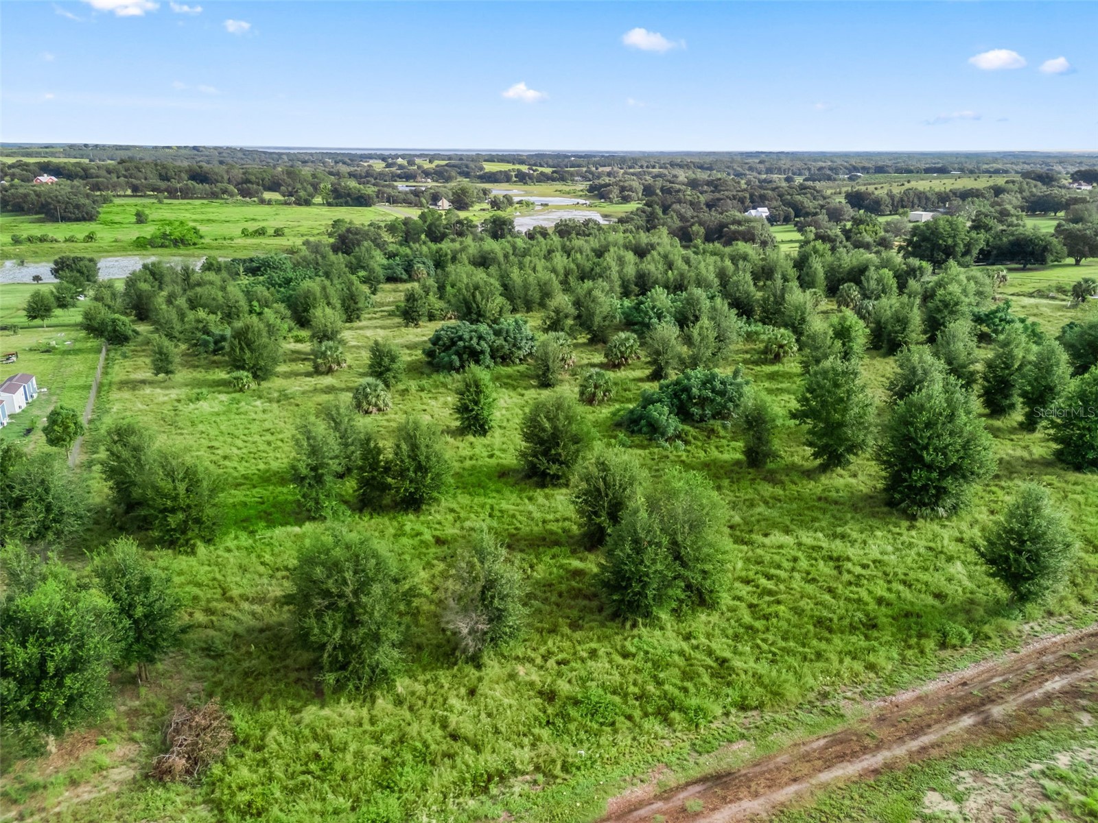 Punkin Center Road Leesburg FL 34748 G5102164 image10