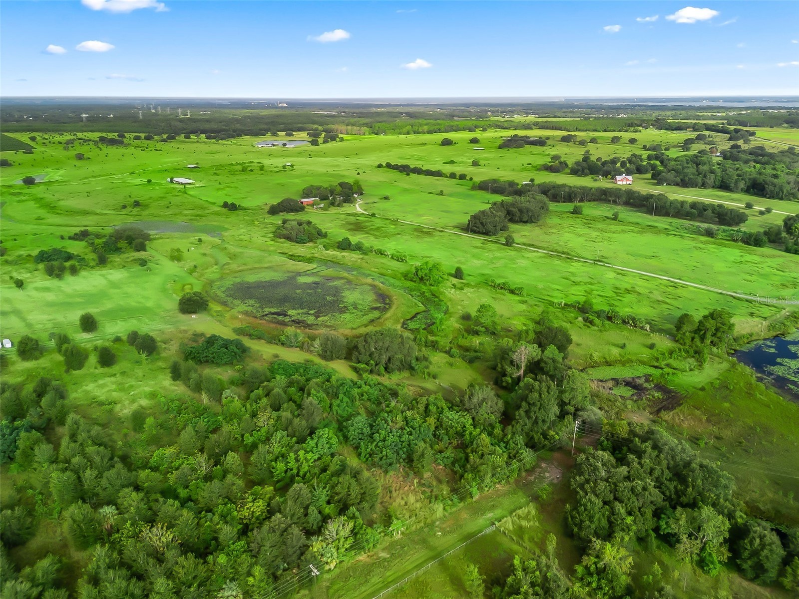 Punkin Center Road Leesburg FL 34748 G5102164 image11