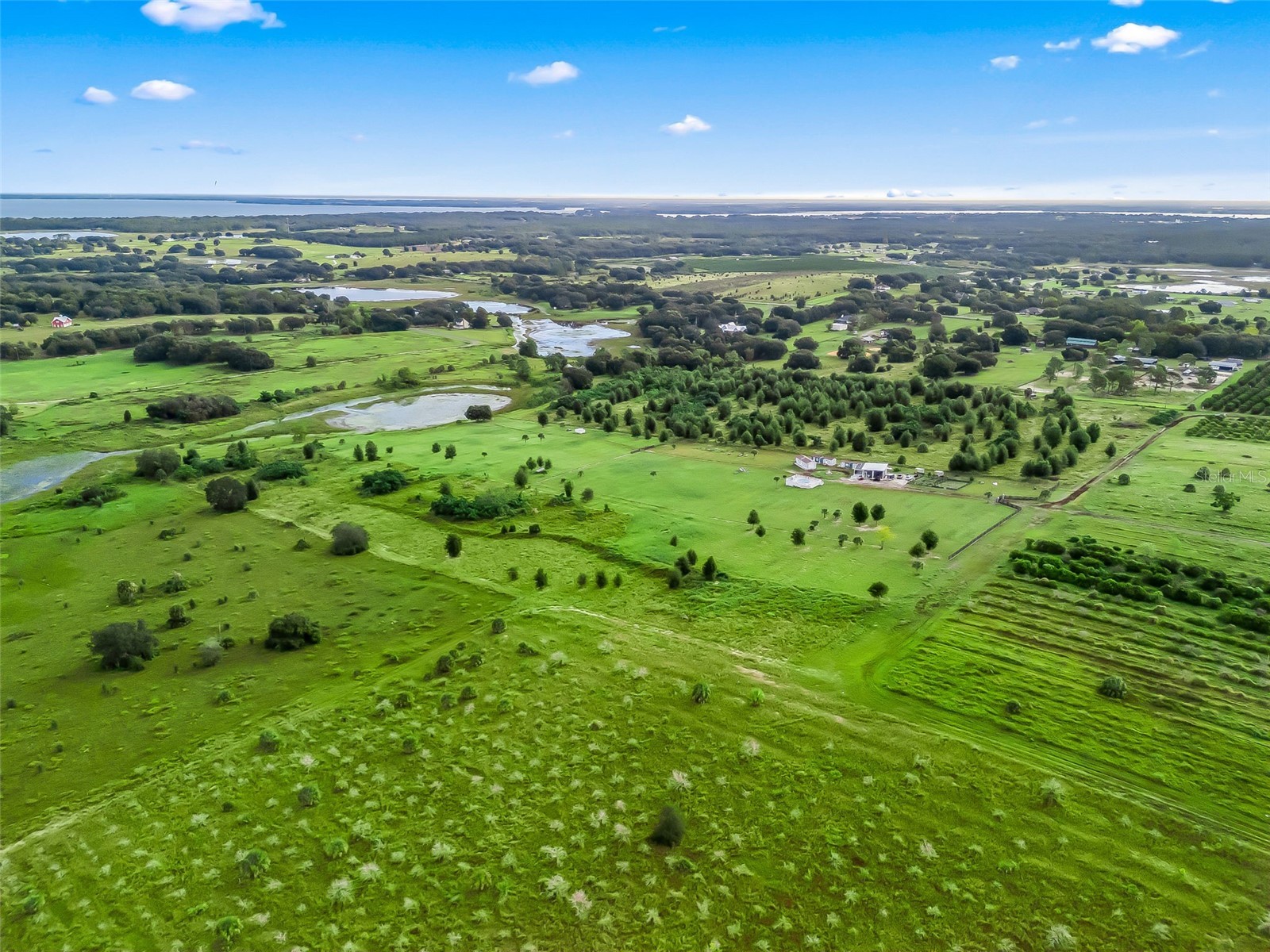 Punkin Center Road Leesburg FL 34748 G5102164 image17