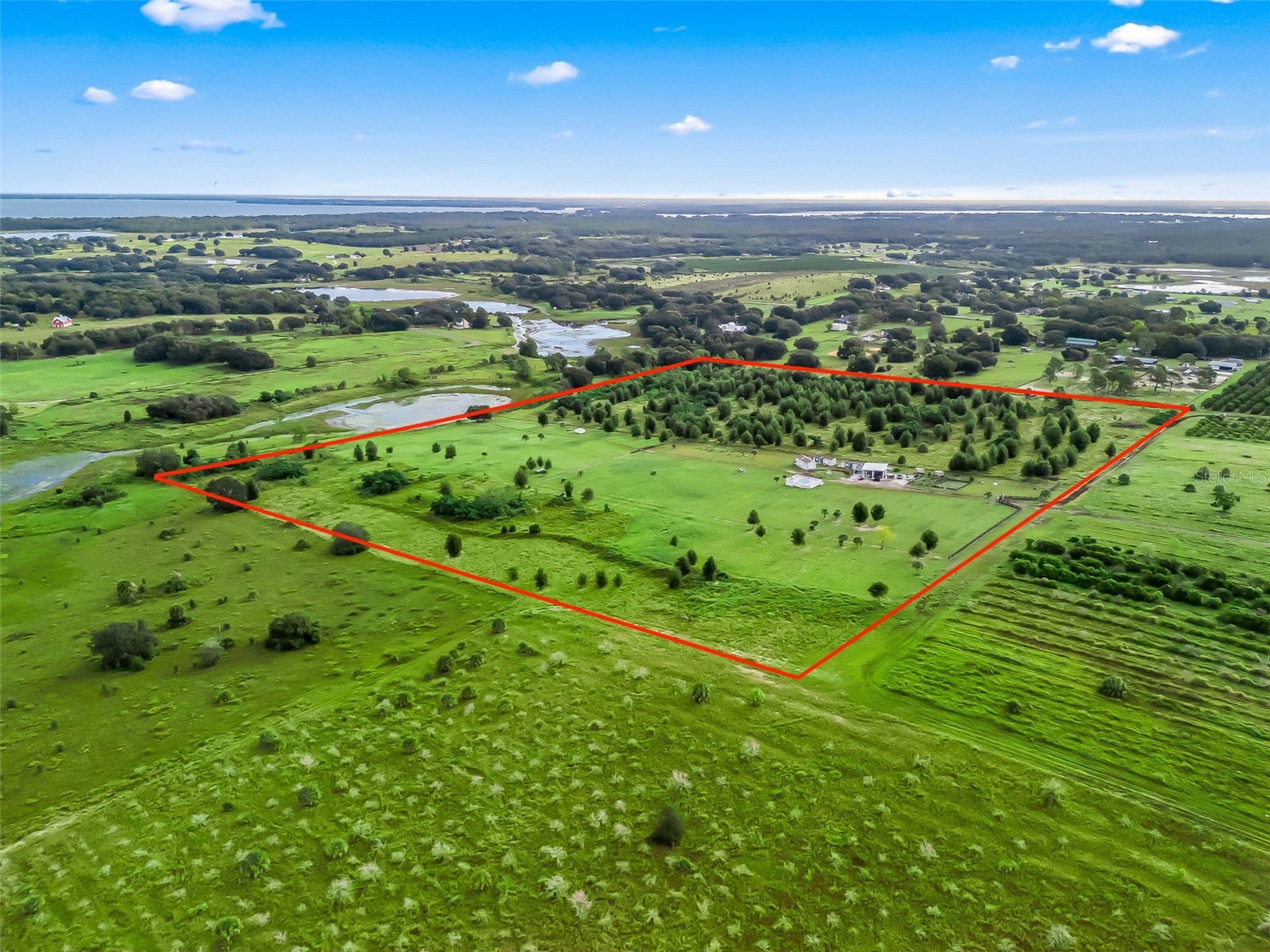 Punkin Center Road Leesburg FL 34748 G5102164 image21