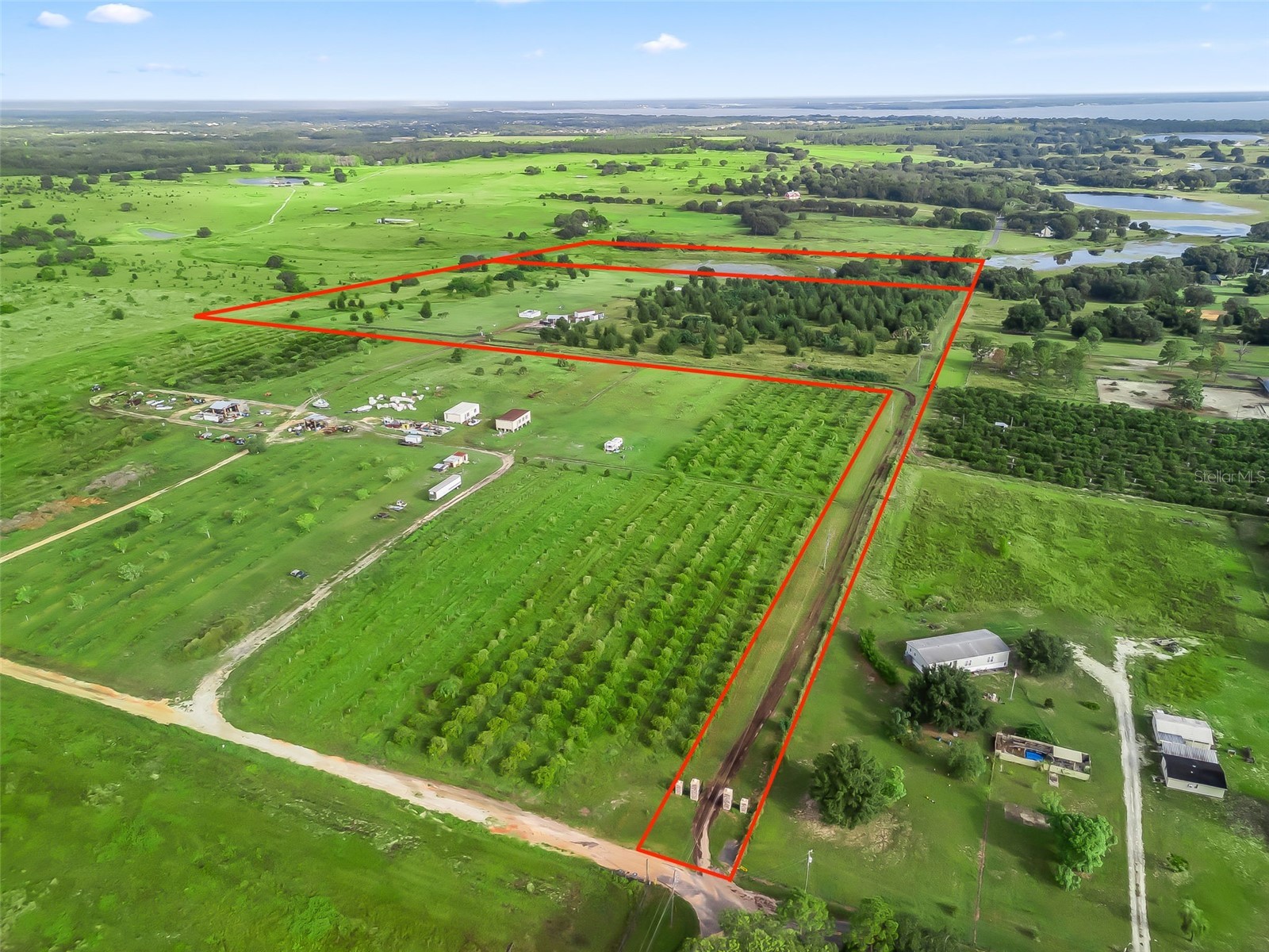 Punkin Center Road Leesburg FL 34748 G5102164 image6