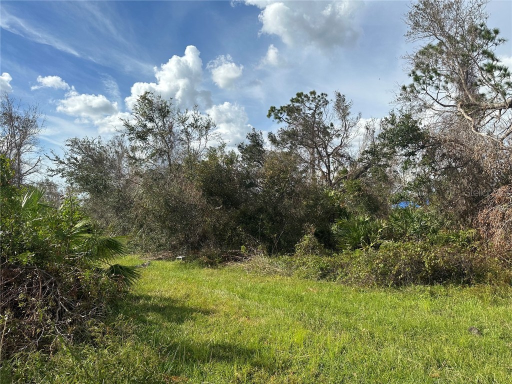  Punta Gorda FL 33983 C7466819 image1