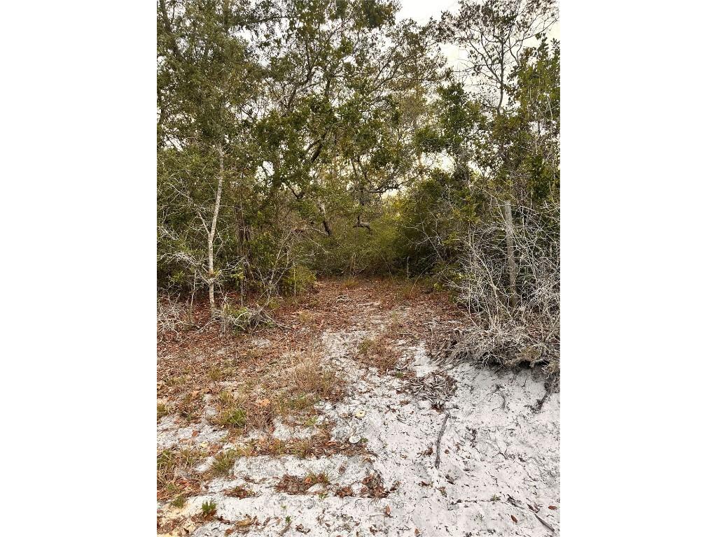 Purcell (Paper) Street Deltona FL 32739 O6304687 image1