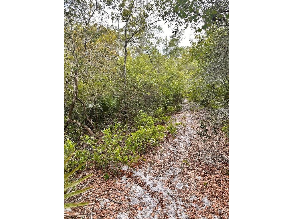 Purcell (Paper) Street Deltona FL 32739 O6304687 image2