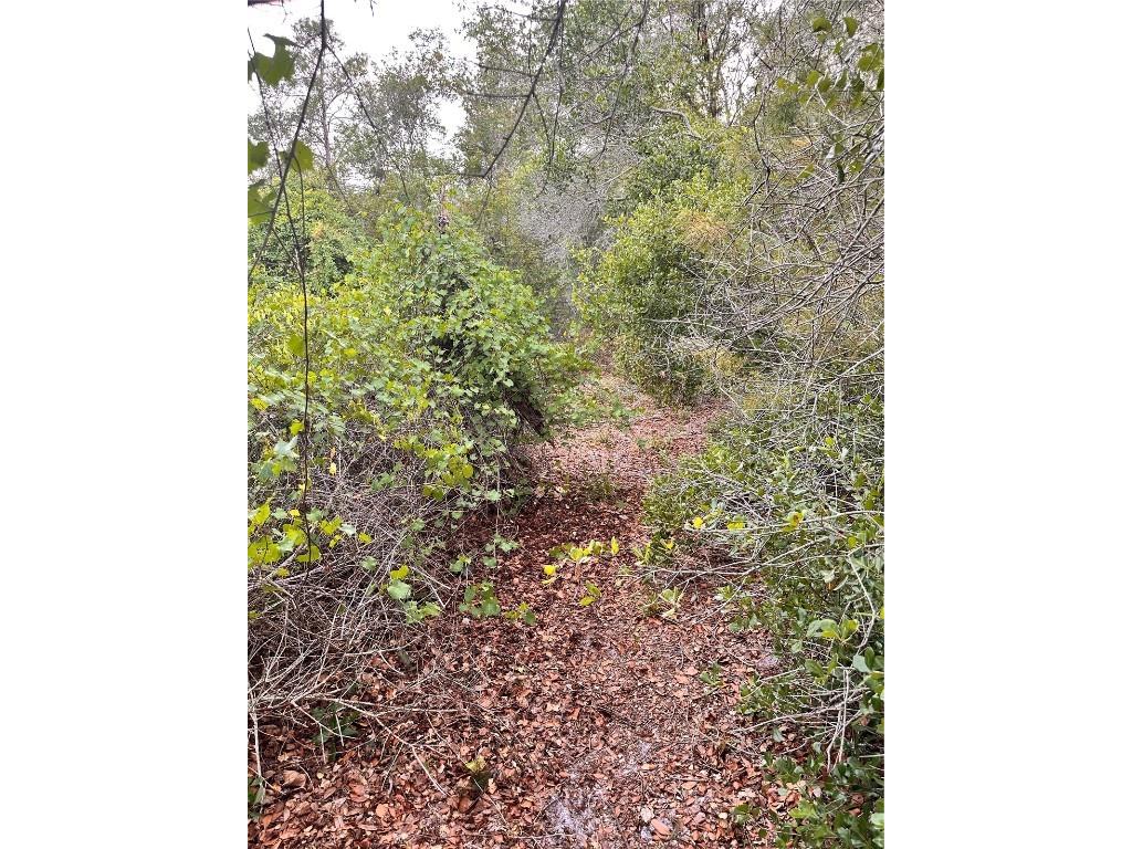 Purcell (Paper) Street Deltona FL 32739 O6304687 image3