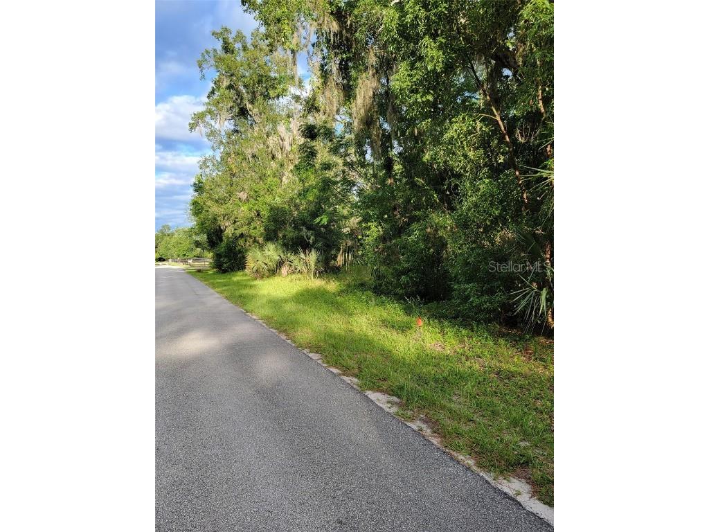 Purdom Cemetery Road Pierson FL 32180 V4930446 image1