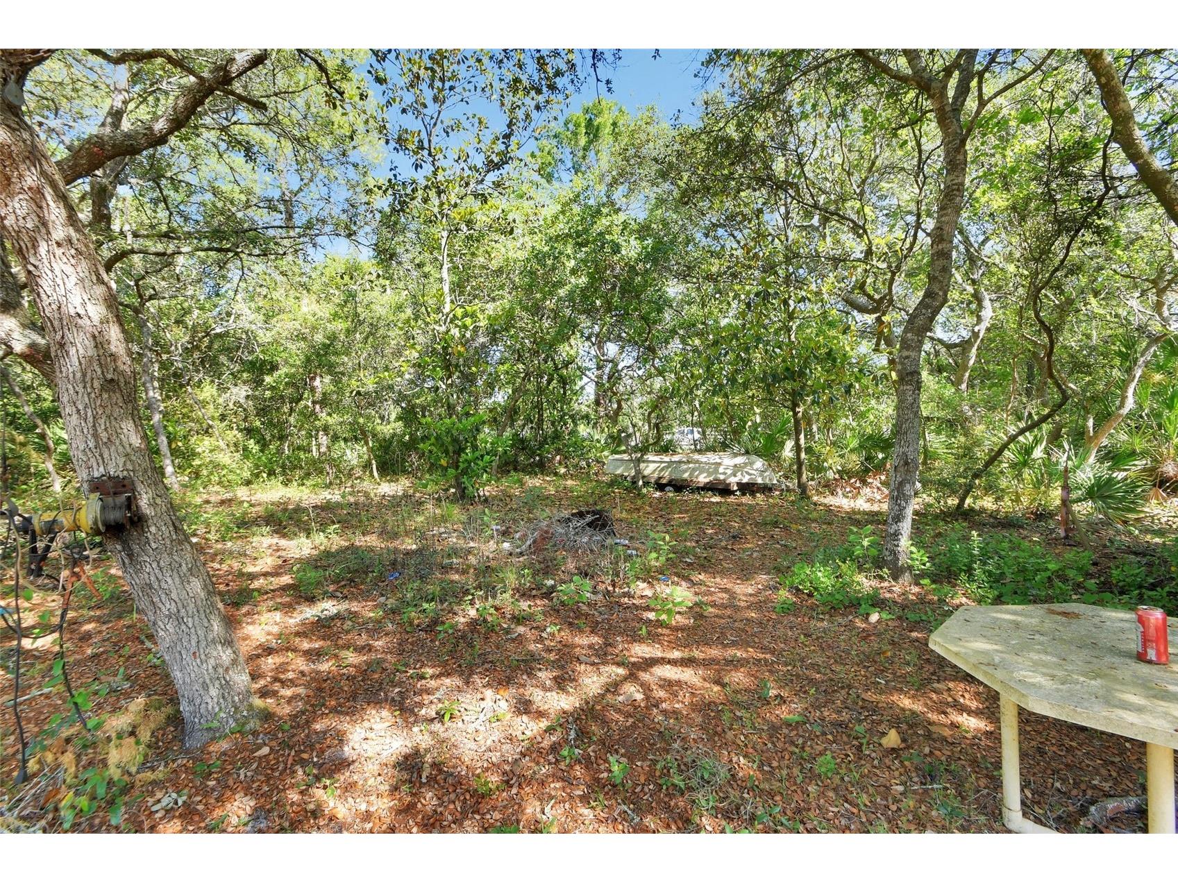 45742 Ohio Street Paisley FL 32767 V4948912 image21