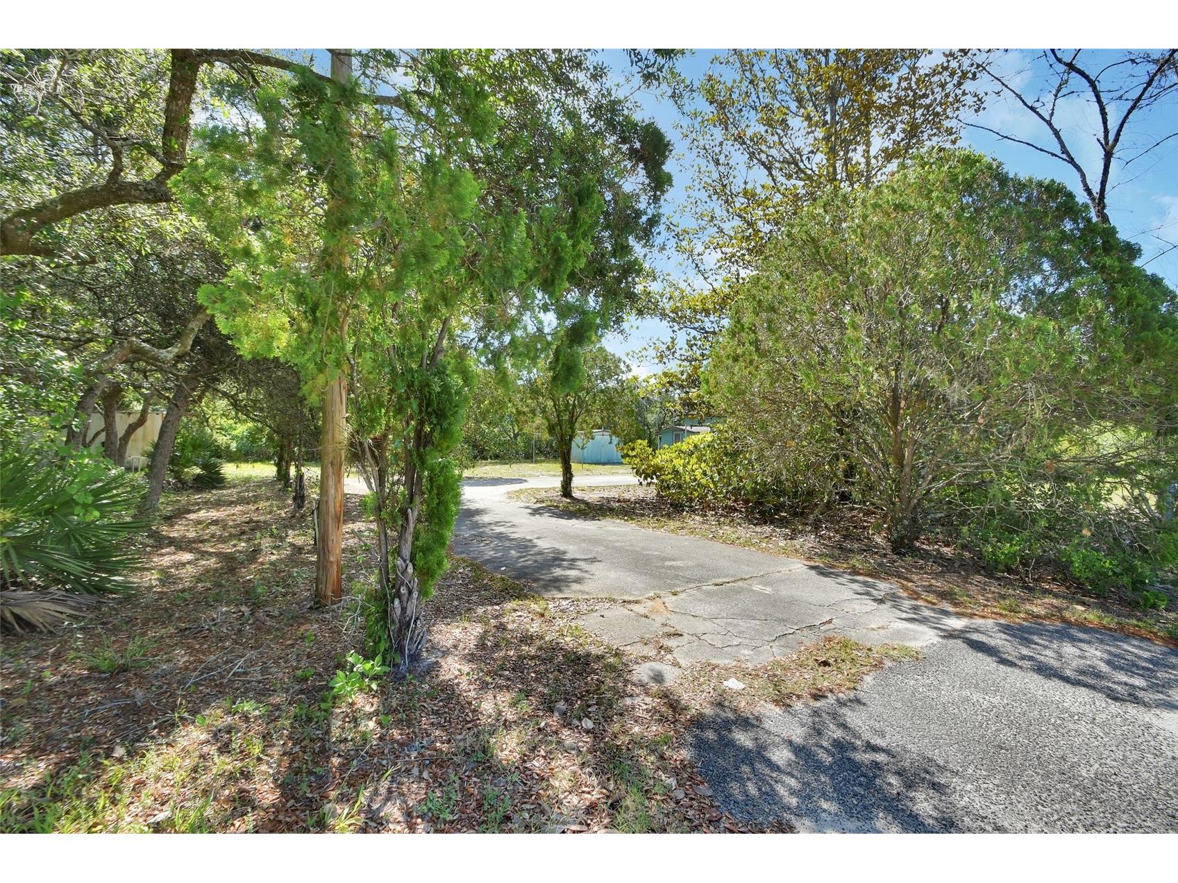 45742 Ohio Street Paisley FL 32767 V4948912 image24