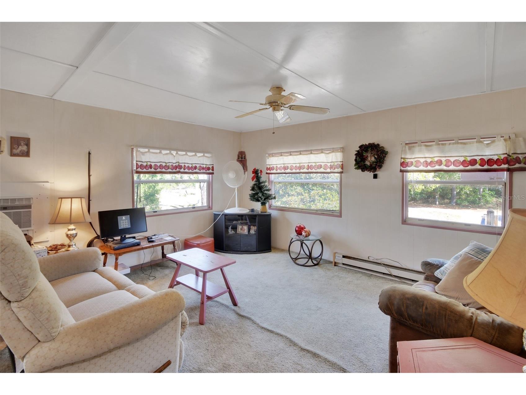 45742 Ohio Street Paisley FL 32767 V4948912 image3