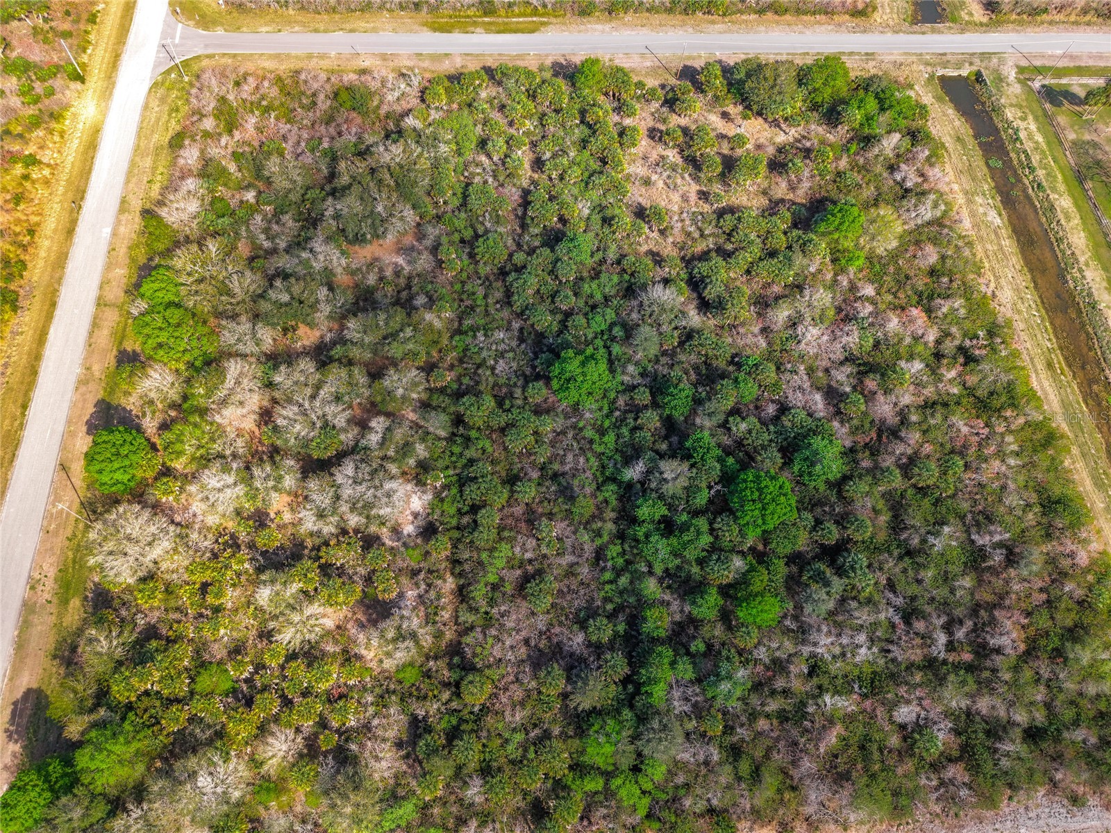  Palm Bay FL 32909 O6388847 image21