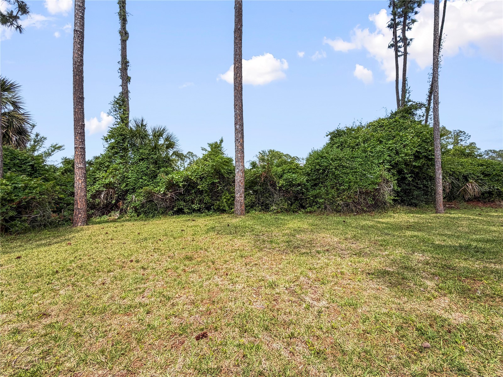  Palm Coast FL 32137 TB8509176 image17