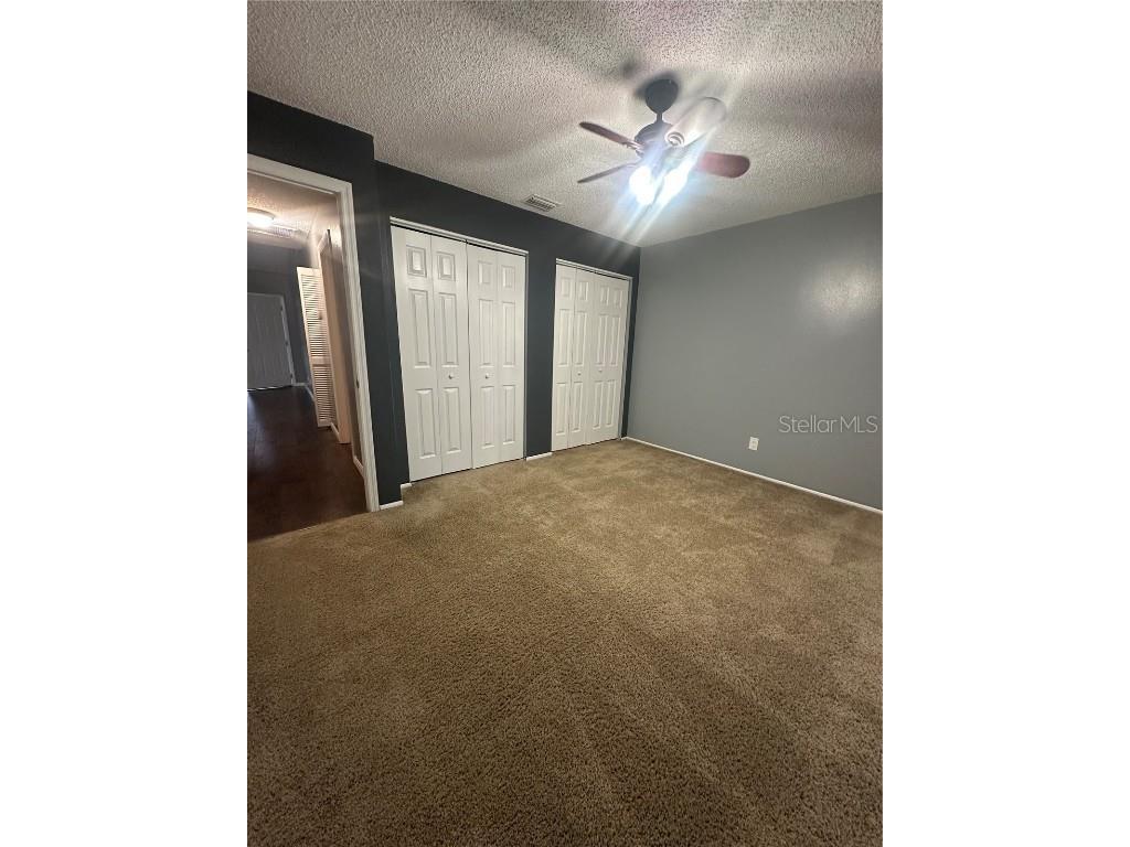  Palm Harbor FL 34684 TB8418614 image10