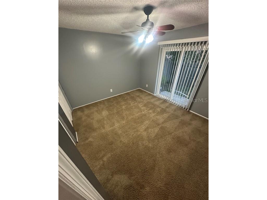  Palm Harbor FL 34684 TB8418614 image11