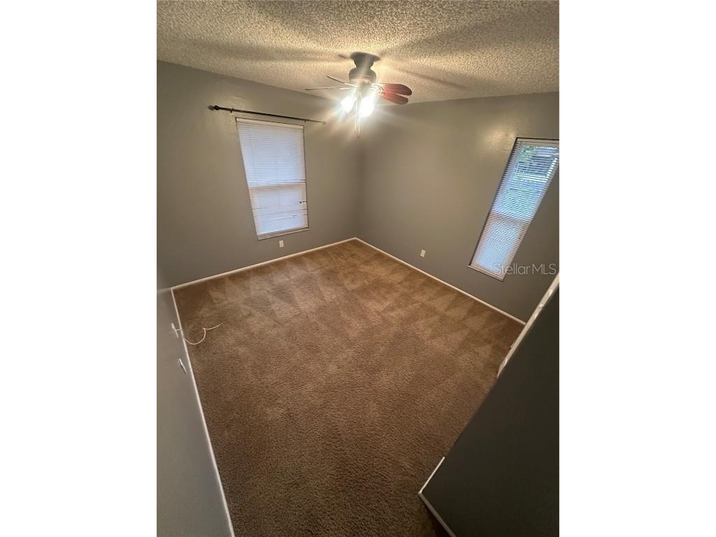  Palm Harbor FL 34684 TB8418614 image12