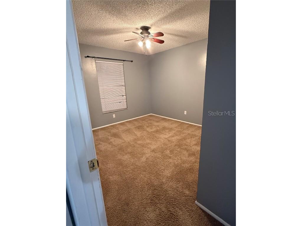  Palm Harbor FL 34684 TB8418614 image19