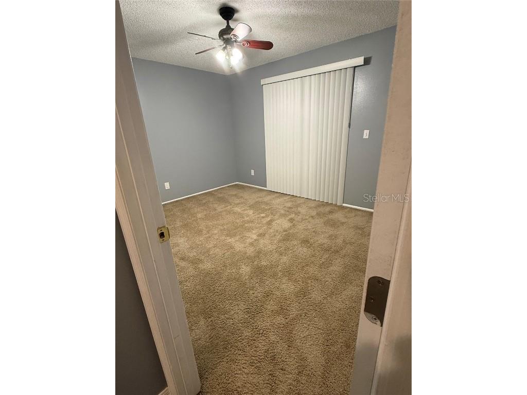  Palm Harbor FL 34684 TB8418614 image20