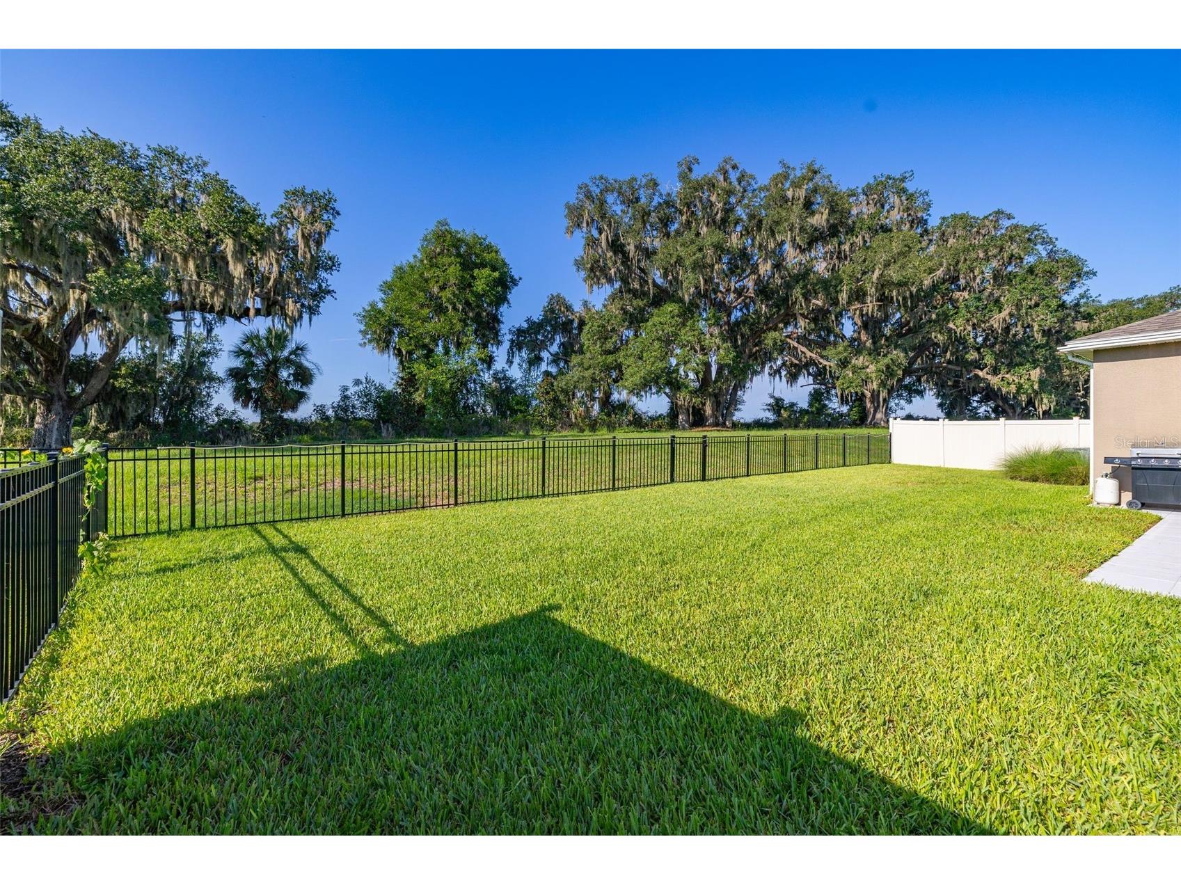 3512 Crooked River Drive Plant City FL 33565 S5153285 image51