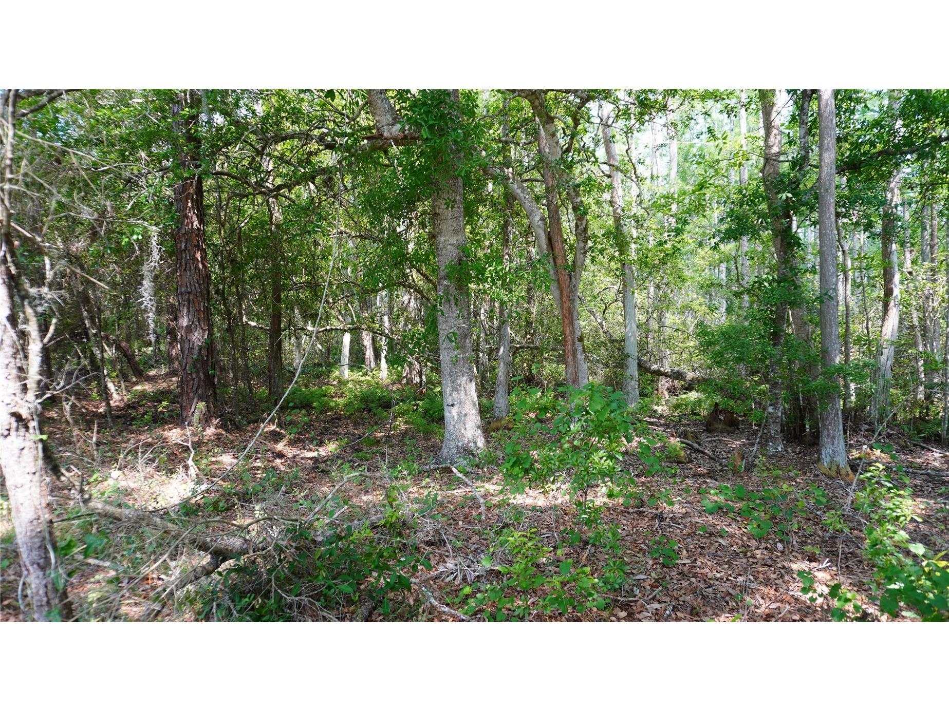  Polk City FL 33868 G5113825 image10