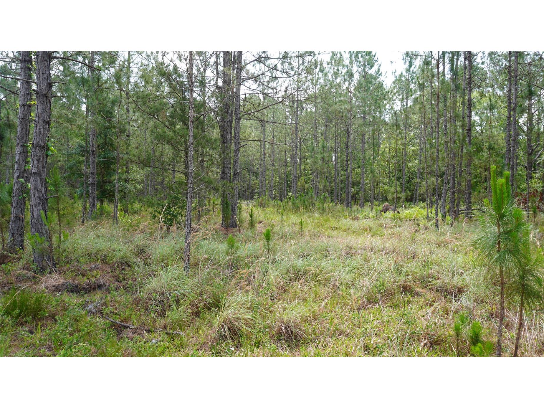  Polk City FL 33868 G5113825 image11