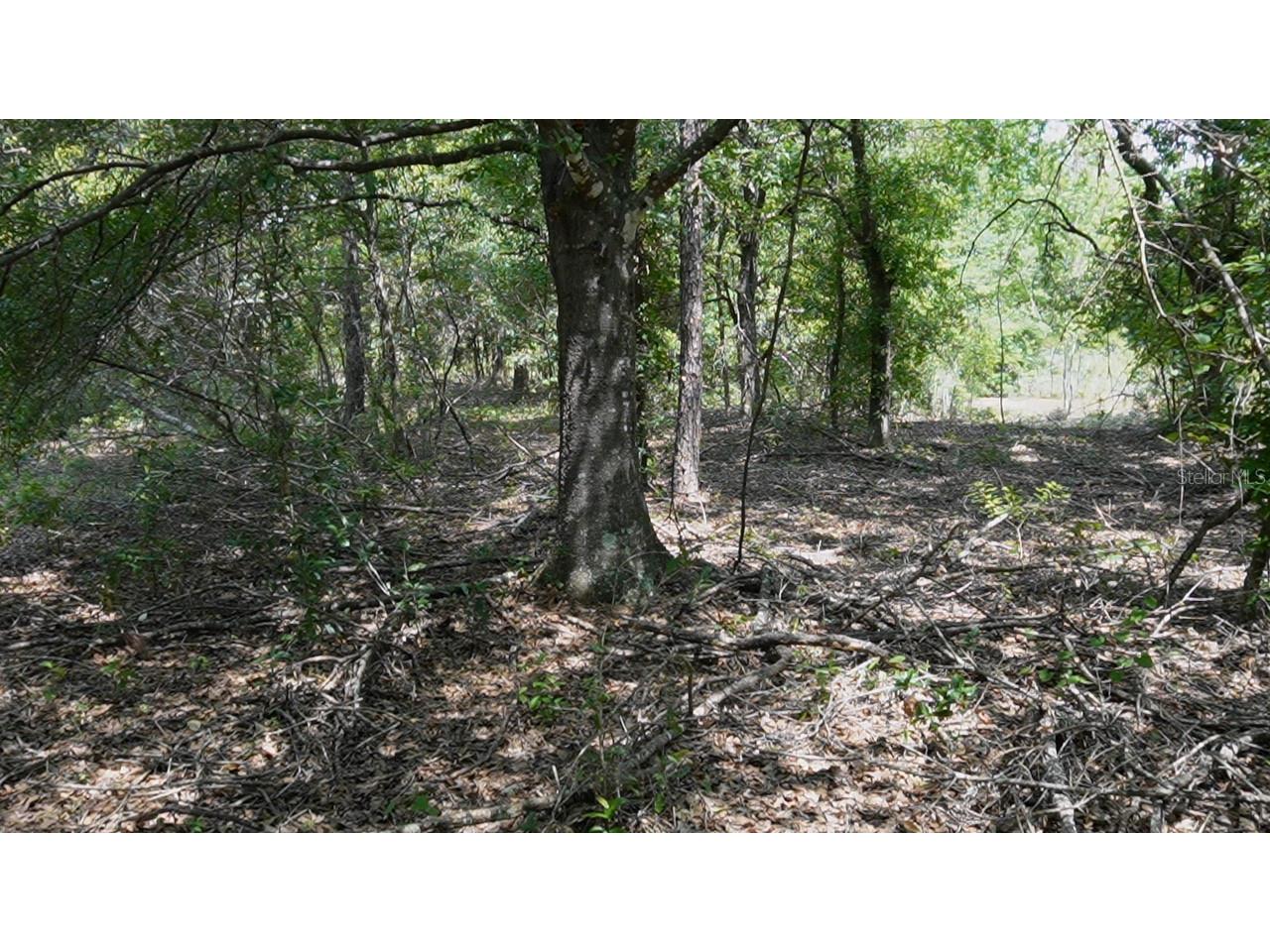  Polk City FL 33868 G5113825 image13