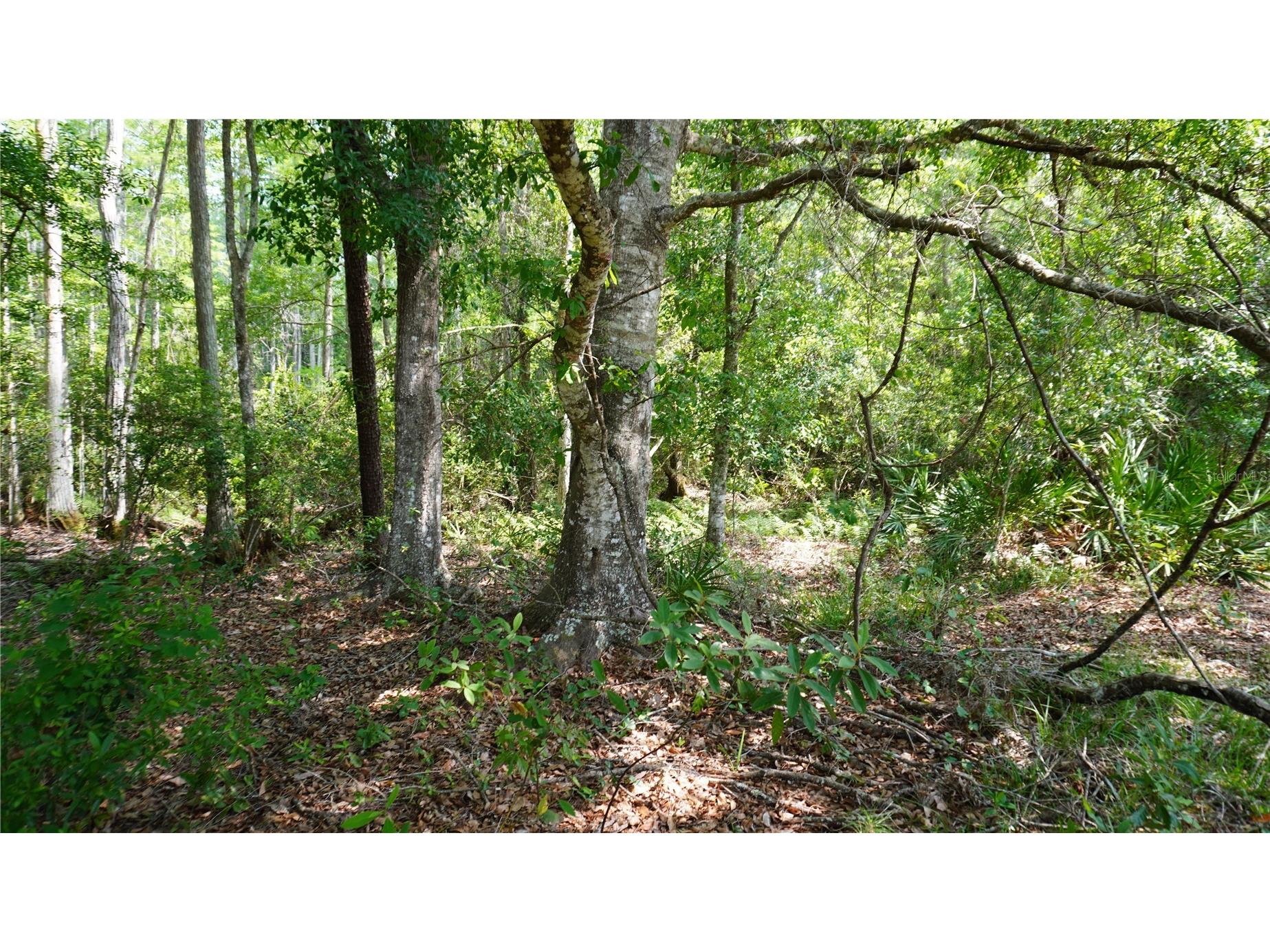 Polk City FL 33868 G5113825 image14