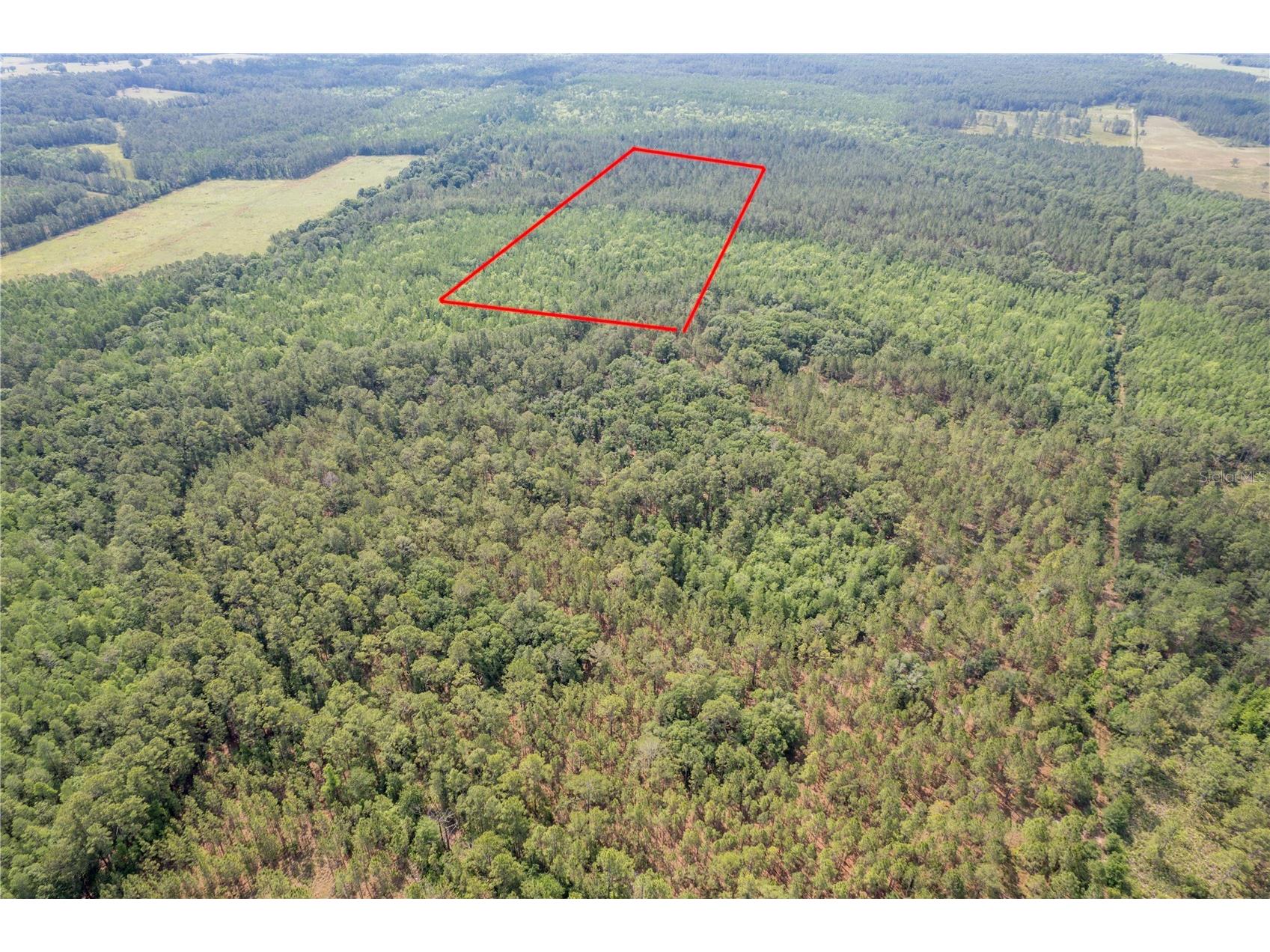  Polk City FL 33868 G5113825 image2
