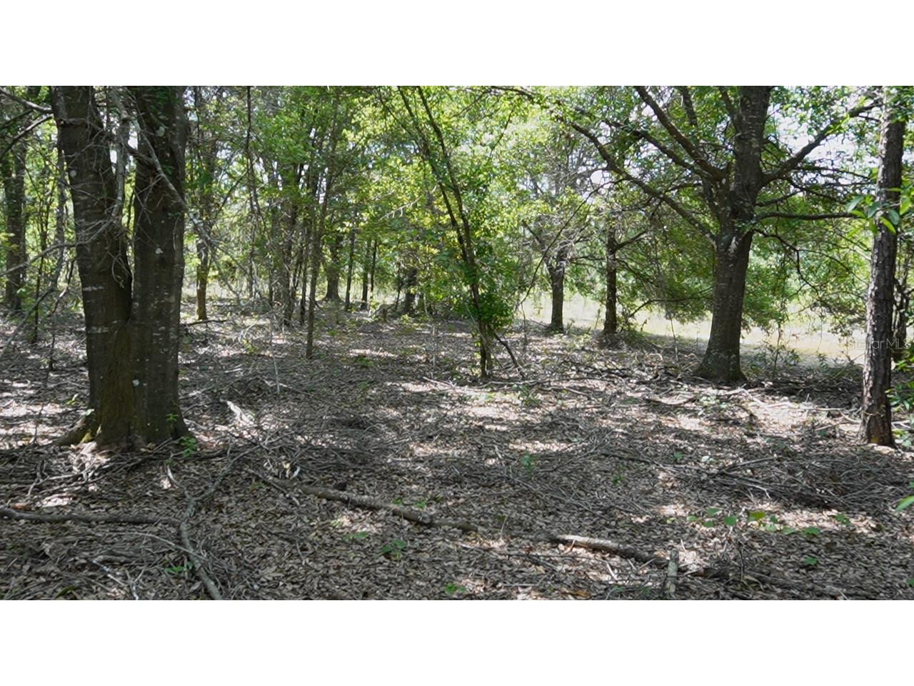  Polk City FL 33868 G5113825 image8