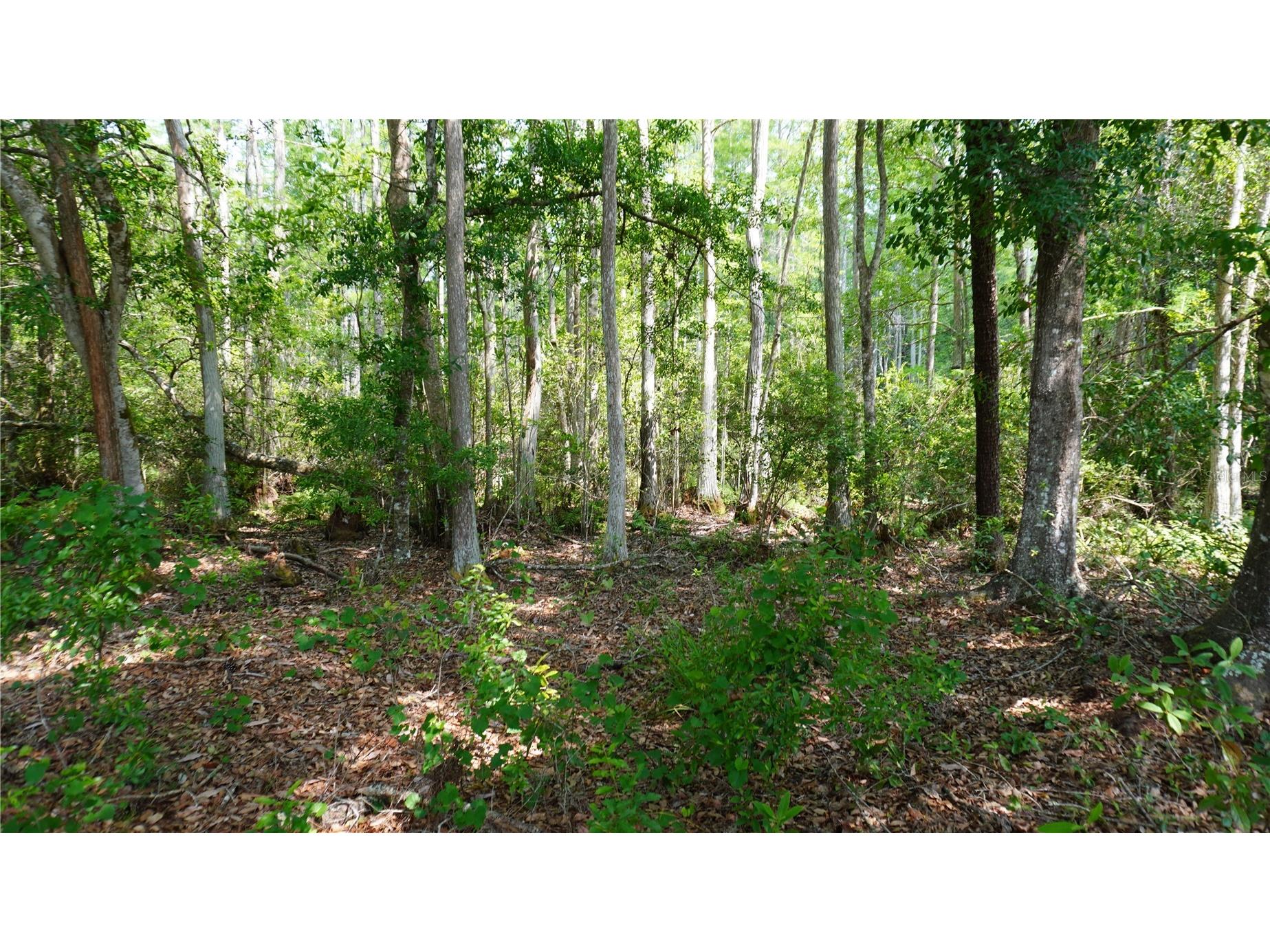  Polk City FL 33868 G5113825 image9