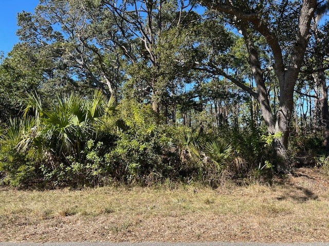  Port Charlotte FL 33953 C7521164 image2