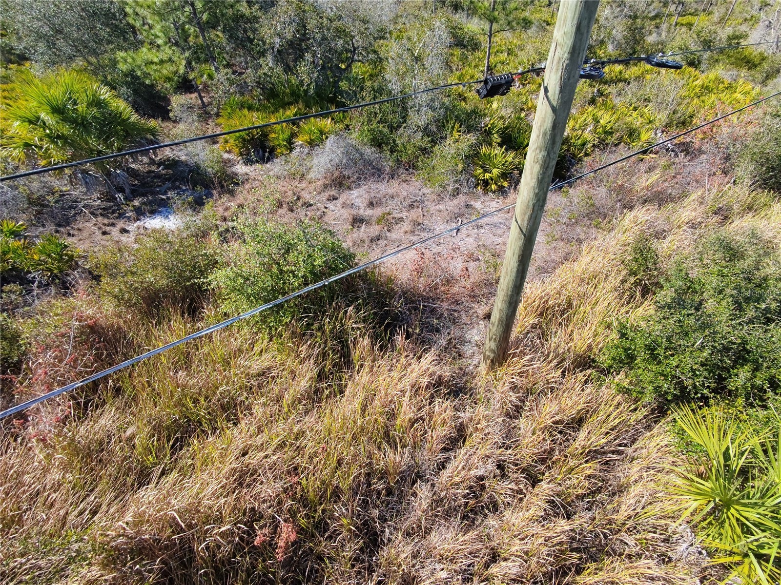  Port Charlotte FL 33953 C7523396 image1