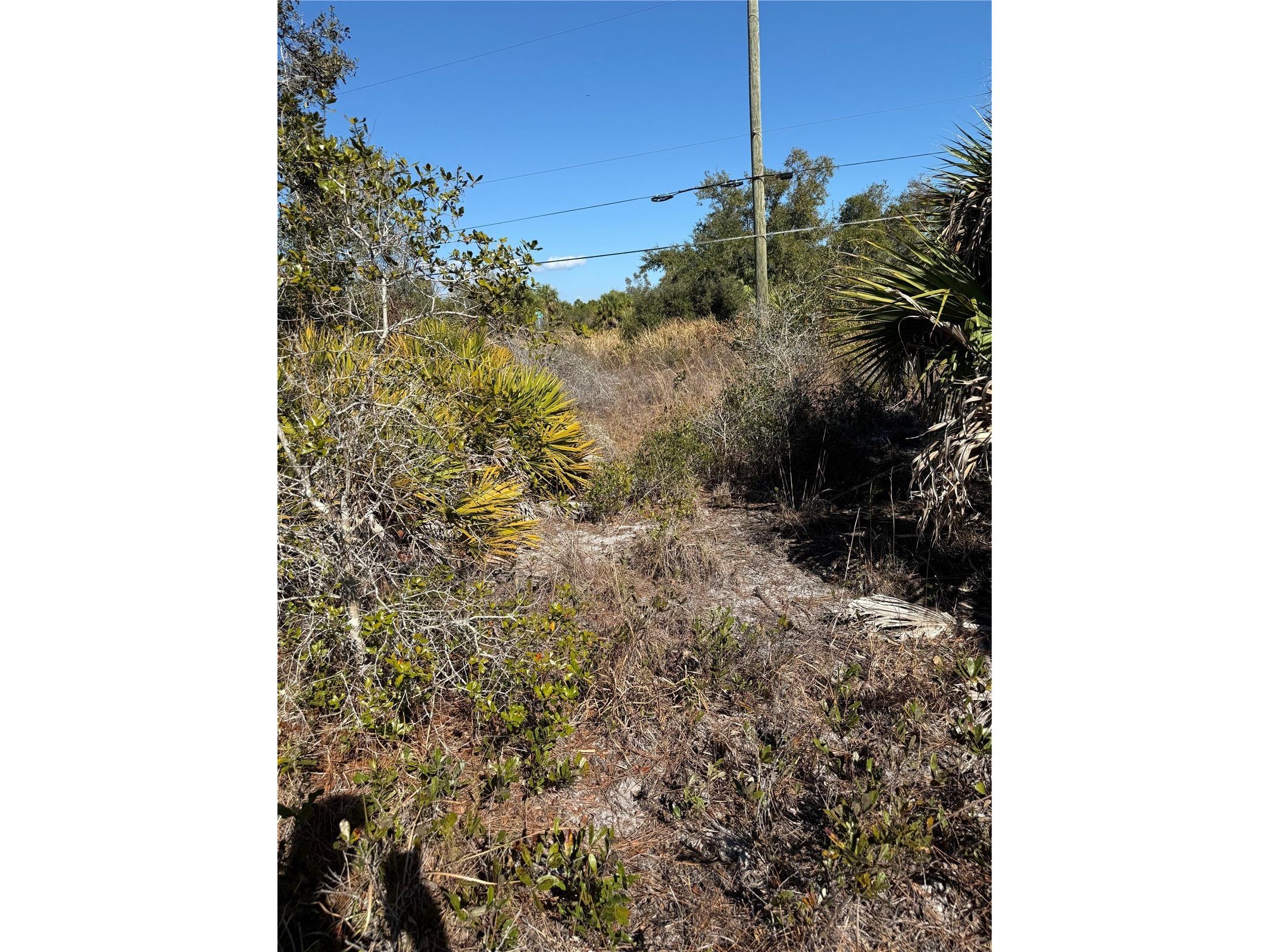  Port Charlotte FL 33953 C7523396 image2