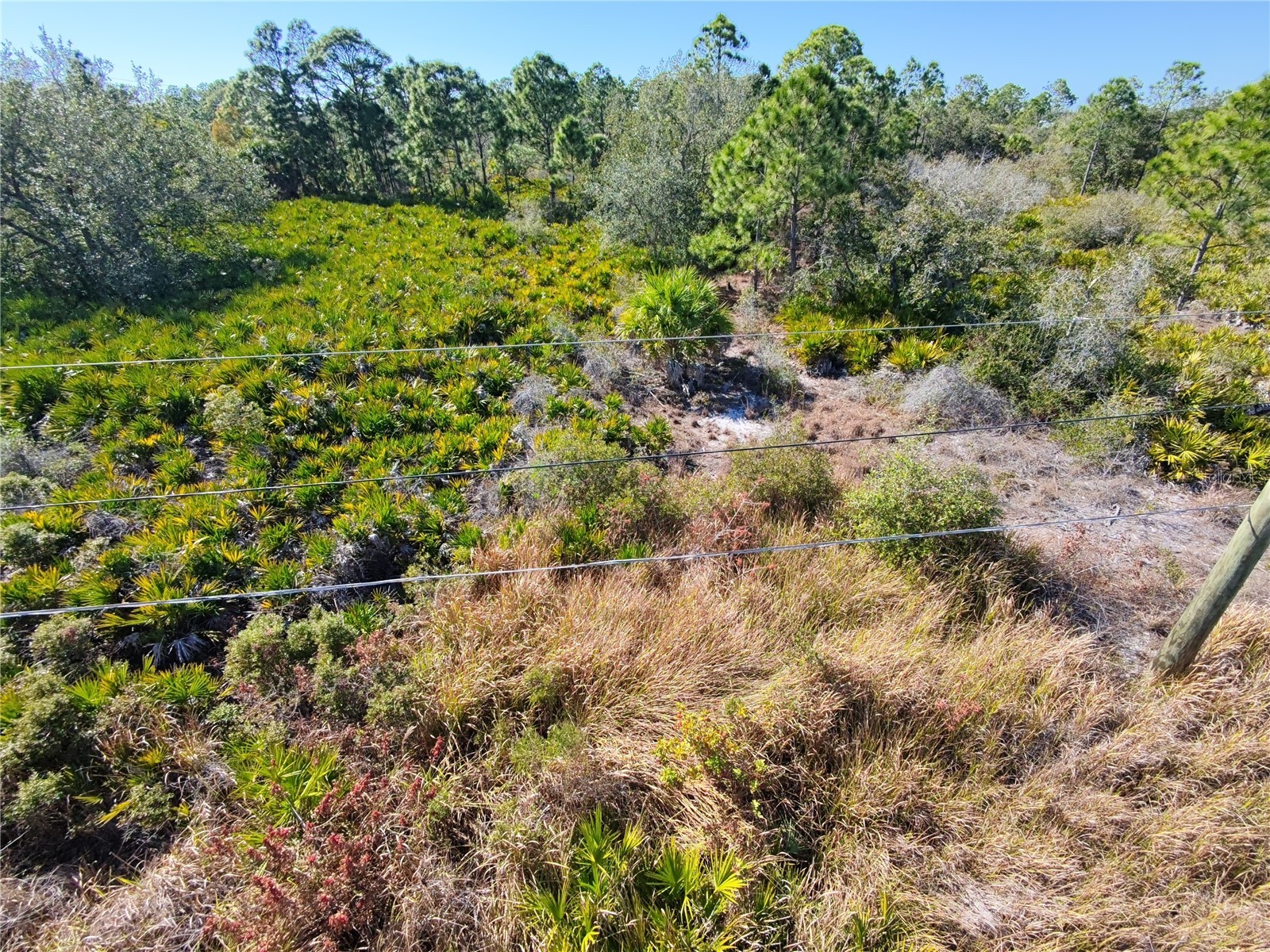  Port Charlotte FL 33953 C7523396 image3