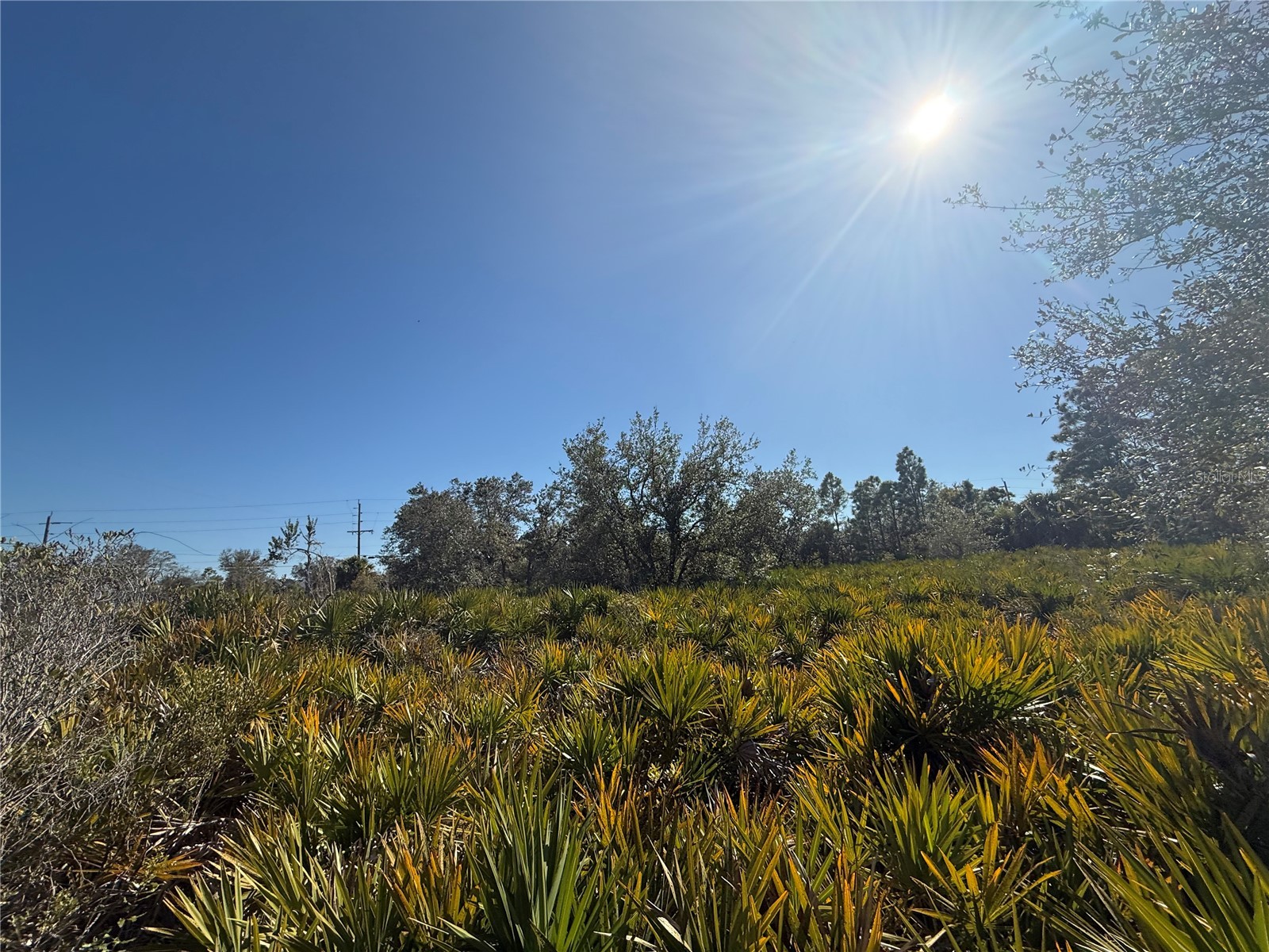  Port Charlotte FL 33953 C7523396 image4