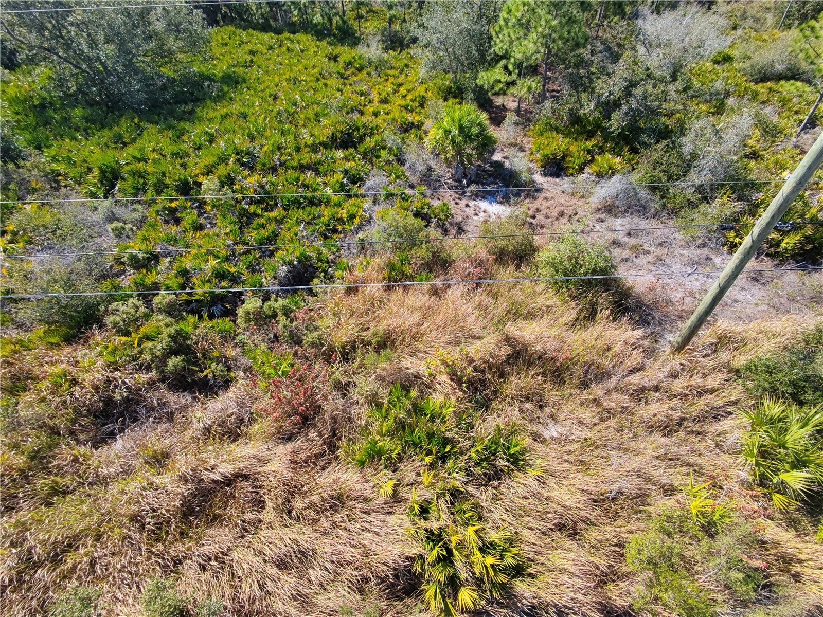  Port Charlotte FL 33953 C7523396 image5