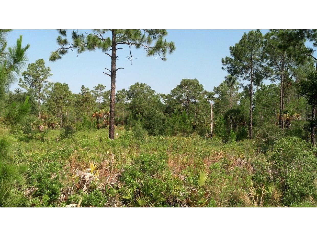  Port Charlotte FL 33981 C7512927 image4