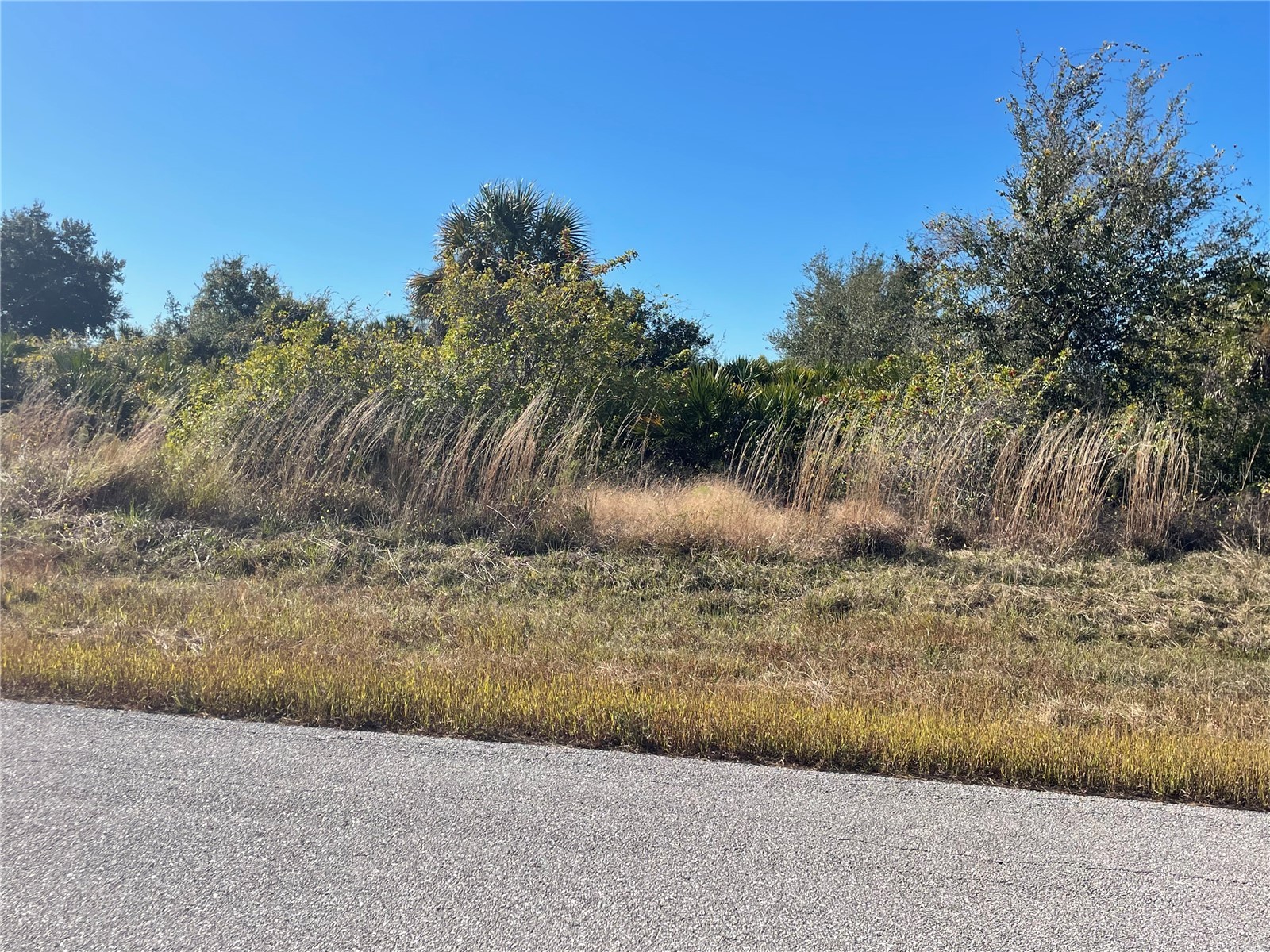 13465 Alocasia Lane Port Charlotte FL 33981 C7520339 image1