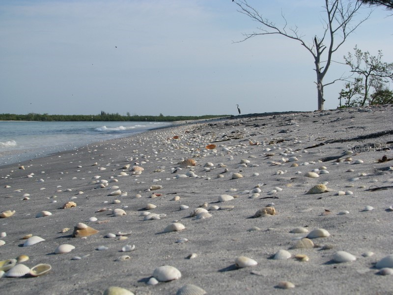  Port Charlotte FL 33981 D6146855 image15