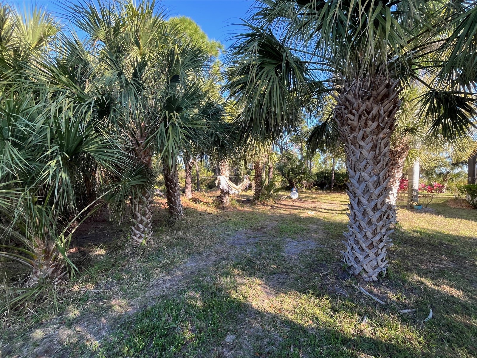  Port Charlotte FL 33981 D6146855 image3