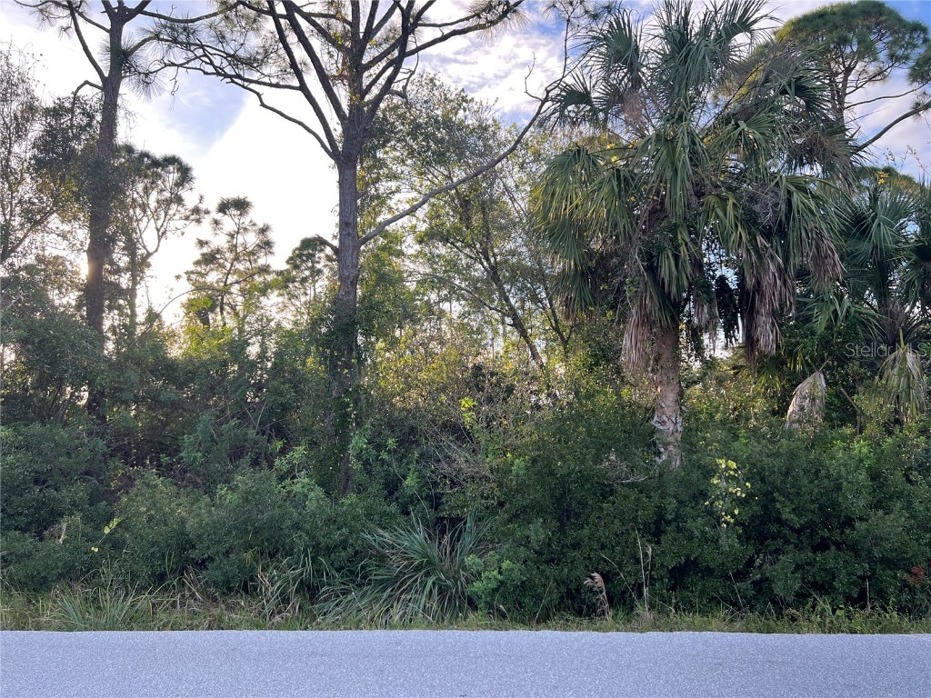 11197 / 111205 Pinetrail Road Punta Gorda FL 33955 C7504099 image3