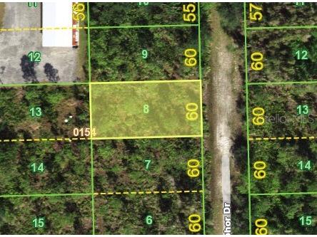 12293 Camphor Drive Punta Gorda FL 33955 C7523843 image6