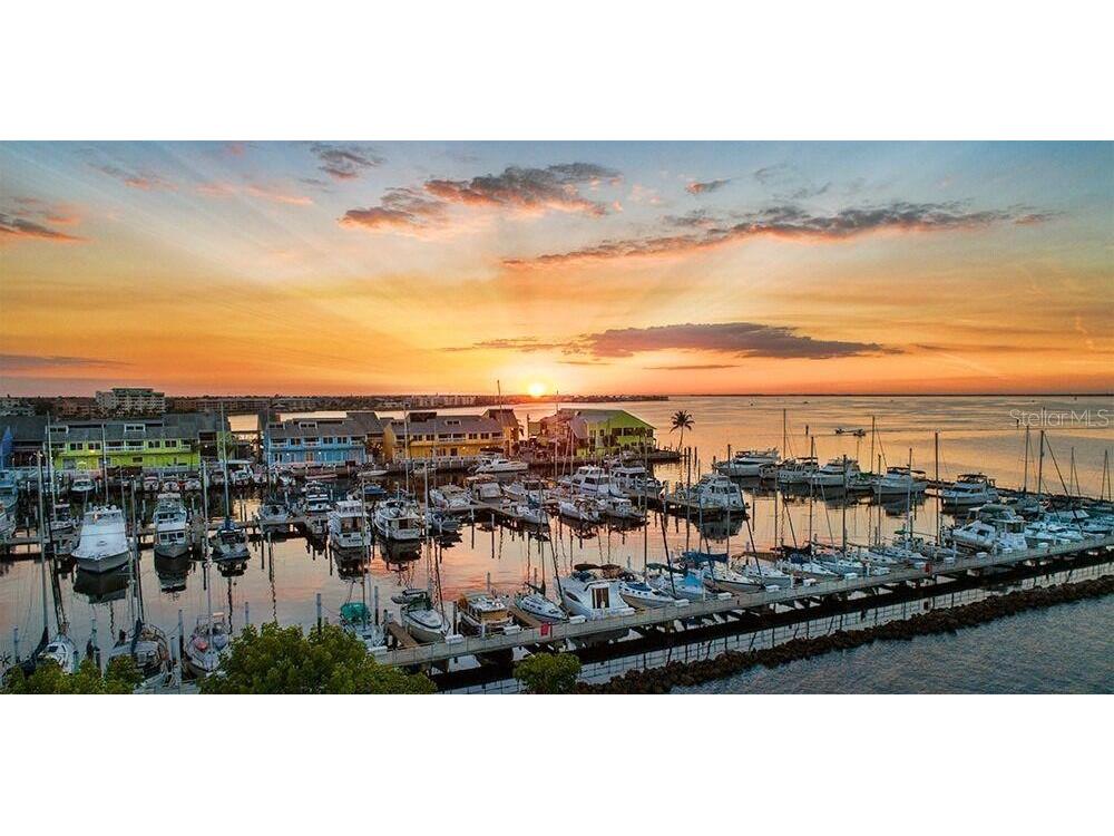 12293 Camphor Drive Punta Gorda FL 33955 C7523843 image7