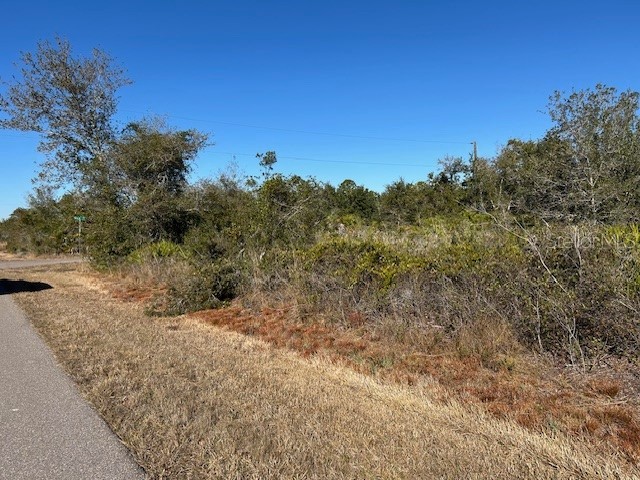  Punta Gorda FL 33982 C7521166 image2