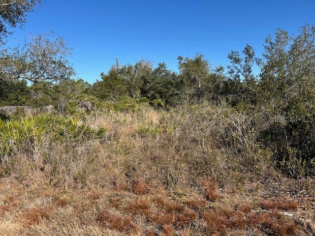  Punta Gorda FL 33982 C7521166 image3
