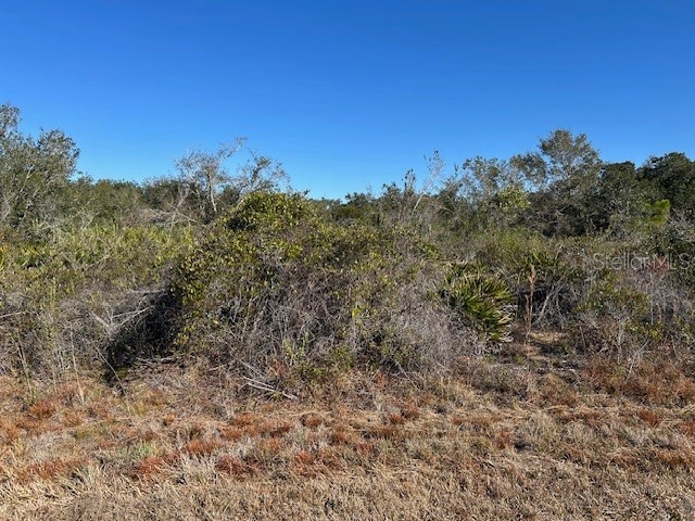  Punta Gorda FL 33982 C7521168 image2