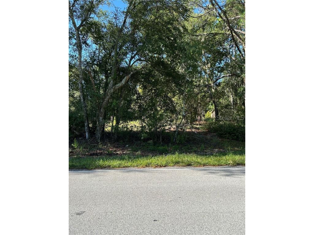 Quail Hollow Blvd Boulevard Wesley Chapel FL 33544 TB8417062 image1