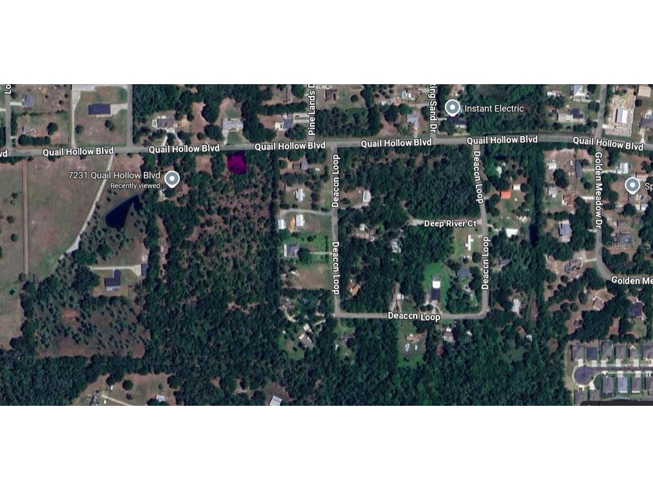 Quail Hollow Blvd Boulevard Wesley Chapel FL 33544 TB8417062 image10