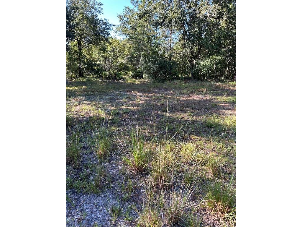 Quail Hollow Blvd Boulevard Wesley Chapel FL 33544 TB8417062 image2