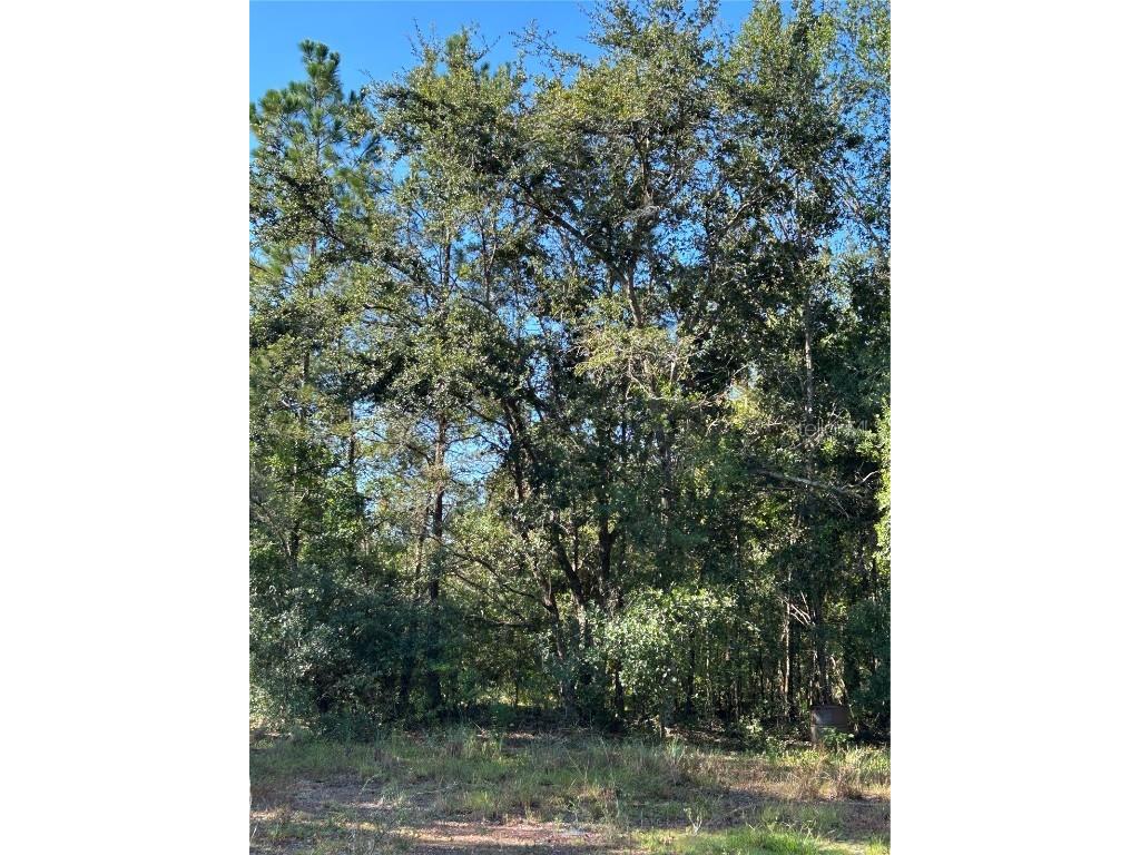 Quail Hollow Blvd Boulevard Wesley Chapel FL 33544 TB8417062 image6